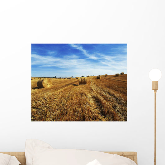 Hay Baling Wall Mural