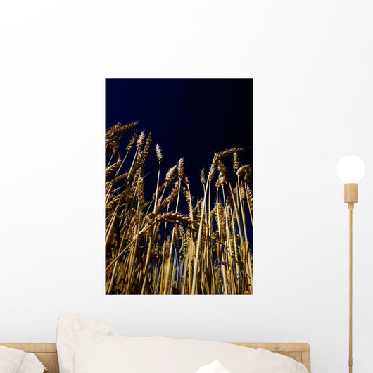 Wheat Wall Mural