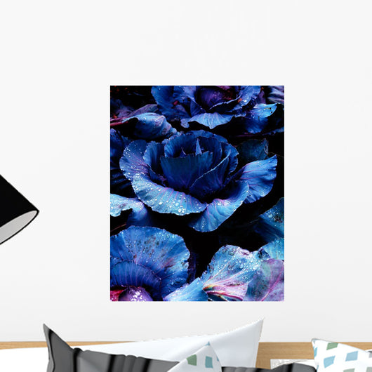 Vegetables, Red Cabbage Wall Mural