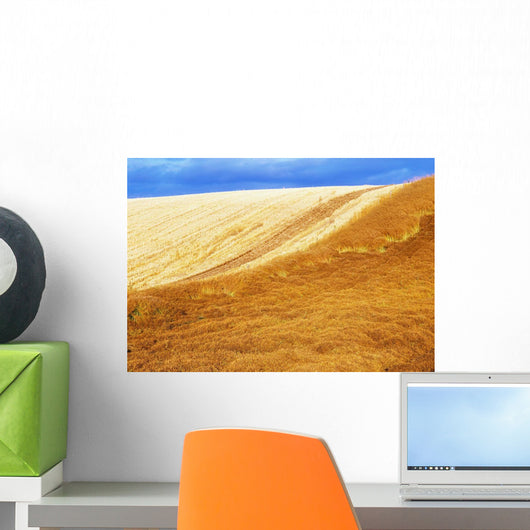 Crops, Oil Seed Rape Wall Mural