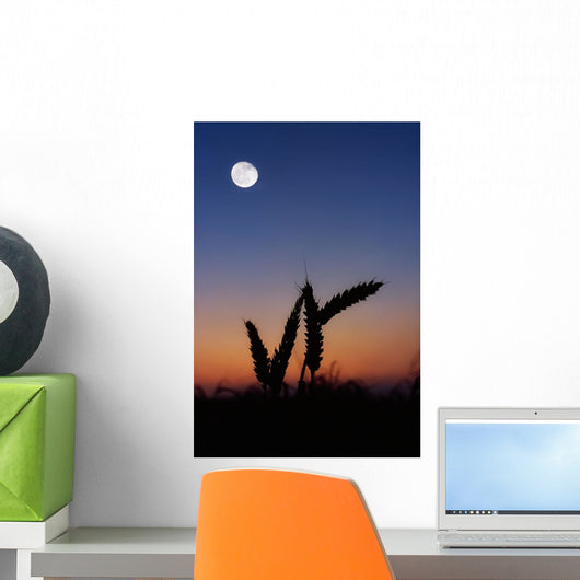 Wheat, Harvest Moon Wall Mural