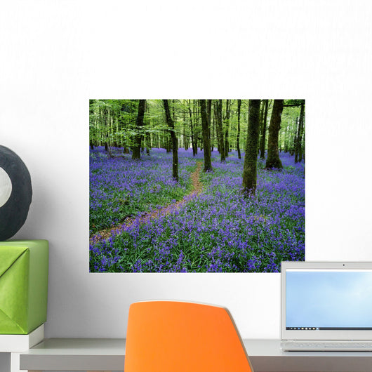 Bluebell Wood, Near Boyle, Co Roscommon, Ireland Wall Mural
