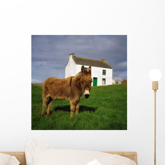 Cottage And Donkey, Tory Island Wall Mural