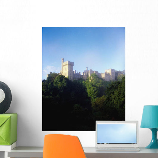 Lismore Castle, Co Waterford, Ireland Wall Mural