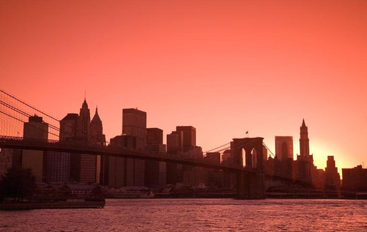 Lower Manhattan Skyline Viewed From Brooklyn Bridge Park Wall Mural