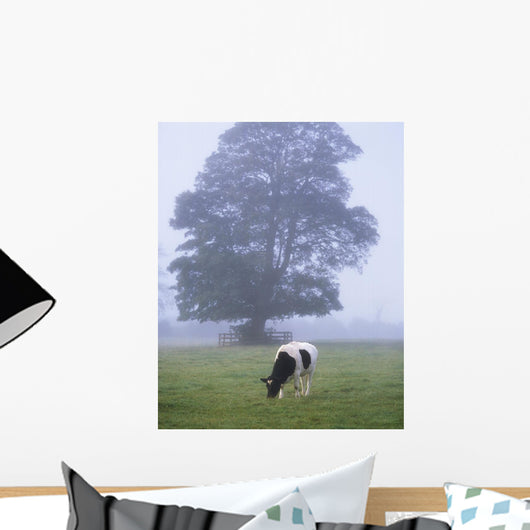 Friesian Cow, Ireland Wall Mural