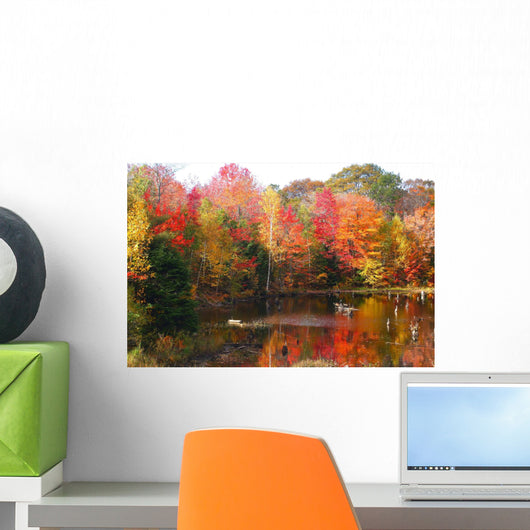 Northern Ontario Fall Color Wall Mural