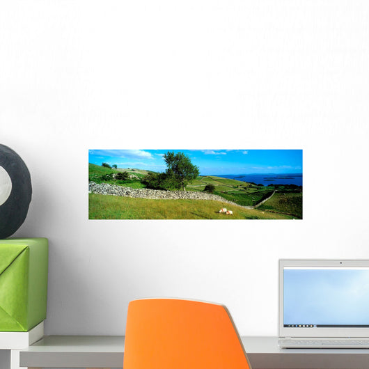 Co Galway, Connemara, Lough Corrib Wall Mural