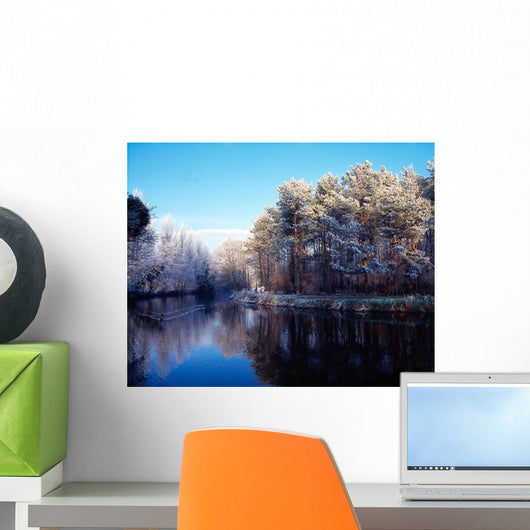 Lagan Meadows During Winter, Belfast, Co Antrim, Ireland Wall Mural