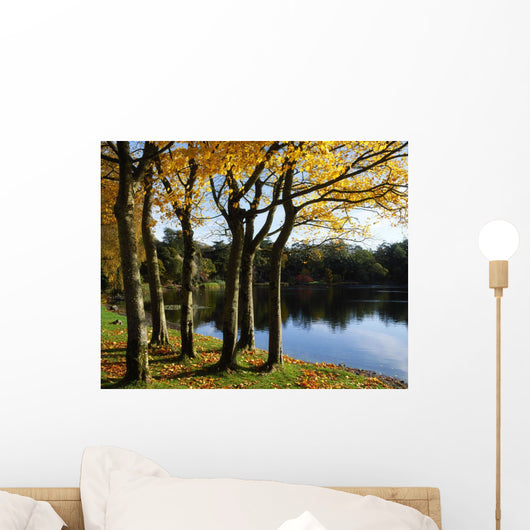 Lake And Trees, Mount Stewart, Co Down, Ireland Wall Mural