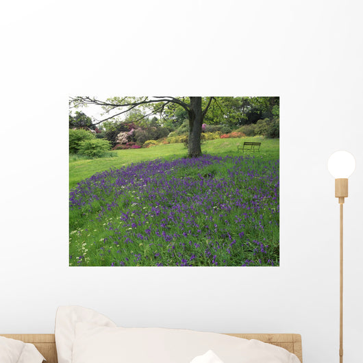 Rowallane Garden, Co Down, Ireland Wall Mural