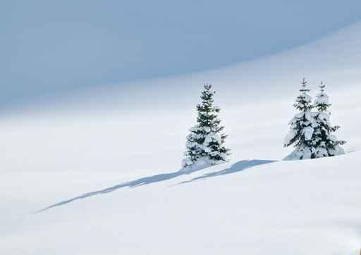 Winter Christmas Wall Decal Design 2