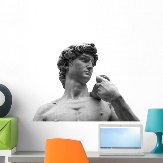 Head Michelangelo's David Wall Decal