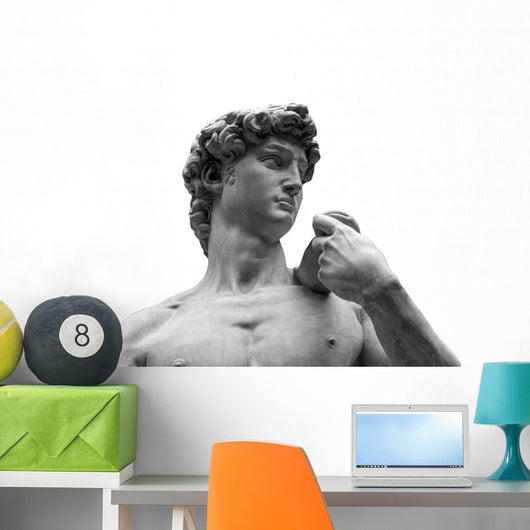Head Michelangelo's David Wall Decal