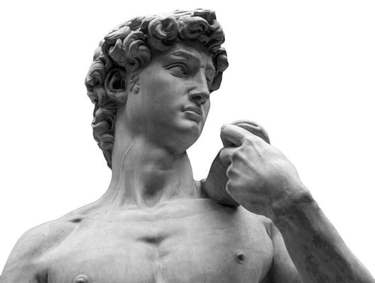 Head Michelangelo's David Wall Decal