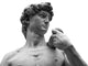 Head Michelangelo's David Wall Decal