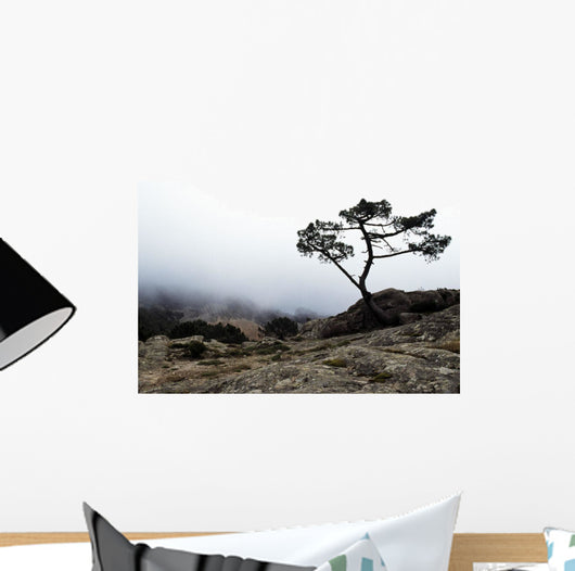 Silhouette Of Tree In Mist Wall Mural