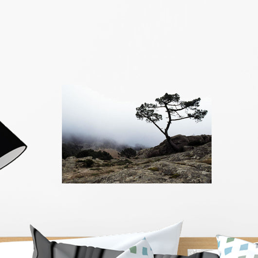 Silhouette Of Tree In Mist Wall Mural