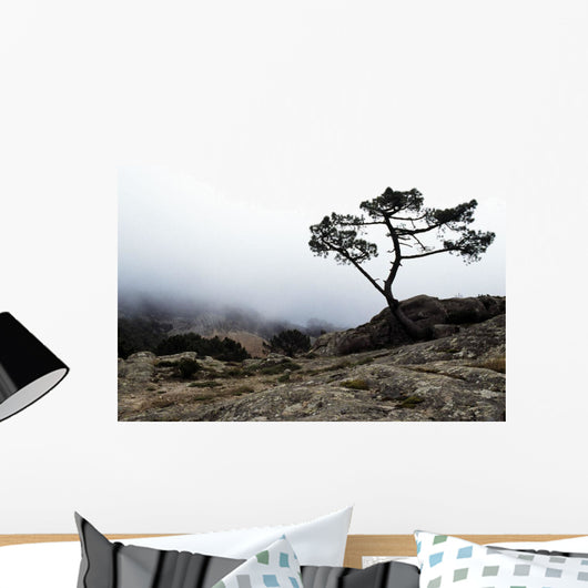 Silhouette Of Tree In Mist Wall Mural