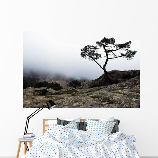 Silhouette Of Tree In Mist Wall Mural