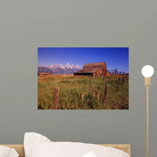 Old Barn, Grand Teton National Park, Wyoming, Usa Wall Mural