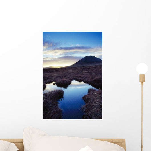 Mount Errigal, County Donegal, Ireland Wall Mural