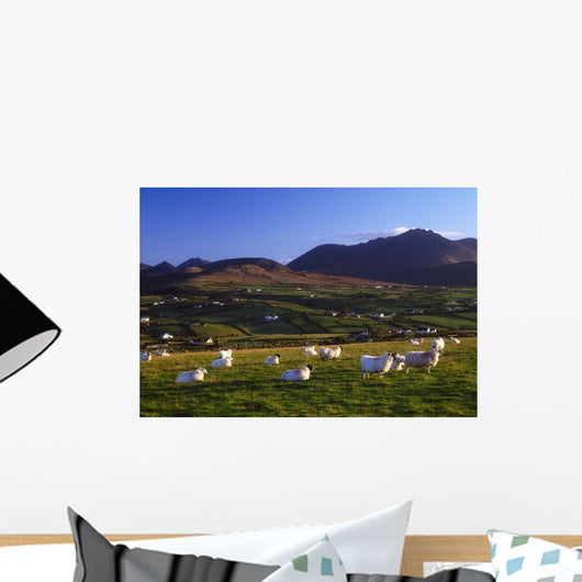 Aughrim Hill, Mourne Mountains, County Down, Ireland Wall Mural