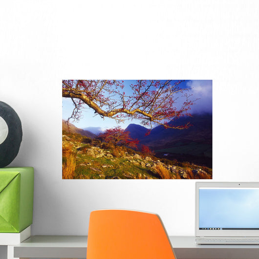 Macgillycuddy's Reeks, County Kerry, Ireland Wall Mural