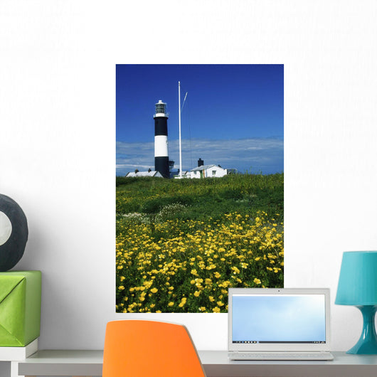 Mew Island, County Down, Ireland Wall Mural