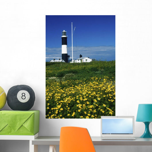 Mew Island, County Down, Ireland Wall Mural