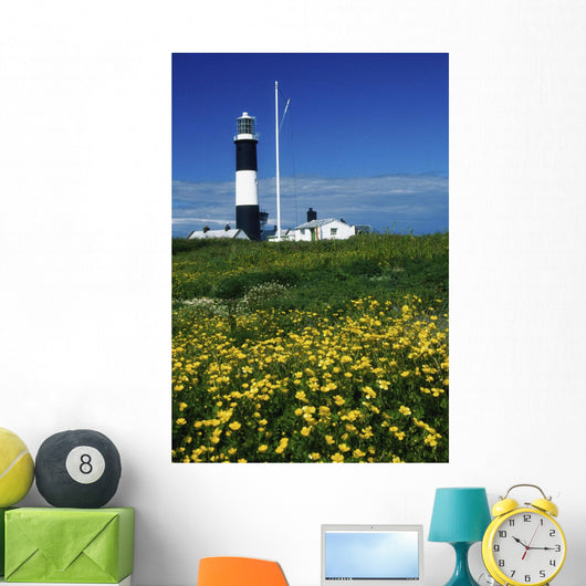 Mew Island, County Down, Ireland Wall Mural