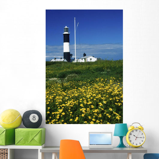 Mew Island, County Down, Ireland Wall Mural