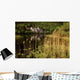 Connemara, County Galway, Ireland Wall Mural