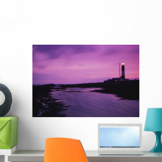 Mew Island, Belfast Lough, County Down, Ireland Wall Mural