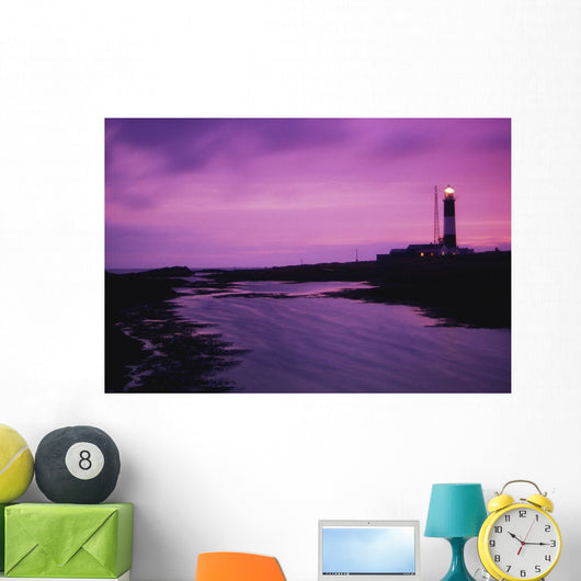 Mew Island, Belfast Lough, County Down, Ireland Wall Mural