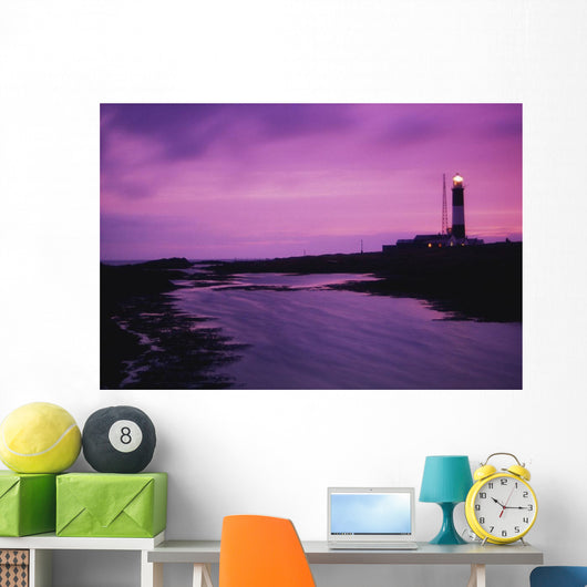 Mew Island, Belfast Lough, County Down, Ireland Wall Mural