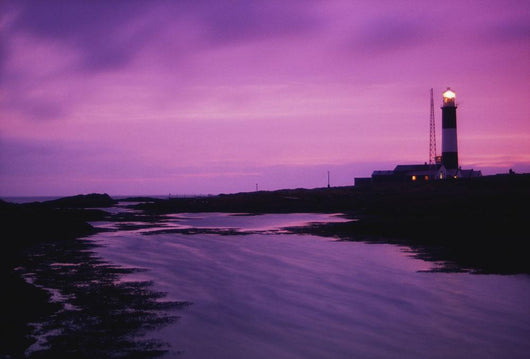 Mew Island, Belfast Lough, County Down, Ireland Wall Mural