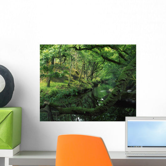 Glengarriff River, County Cork, Ireland Wall Mural