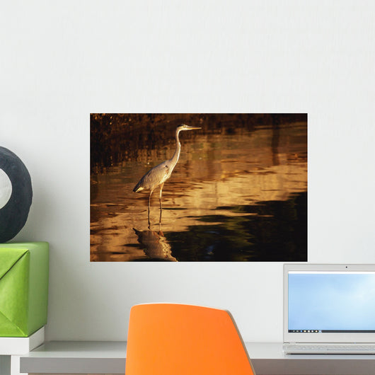 River Liffey, County Dublin, Ireland Wall Mural