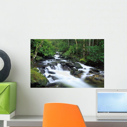 Owengarriff River, Killarney National Park, County Kerry, Ireland Wall Mural