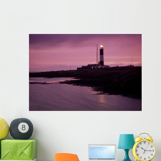 Mew Island, Belfast Lough, County Antrim, Ireland Wall Mural