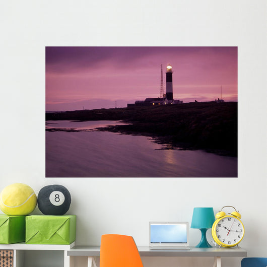 Mew Island, Belfast Lough, County Antrim, Ireland Wall Mural