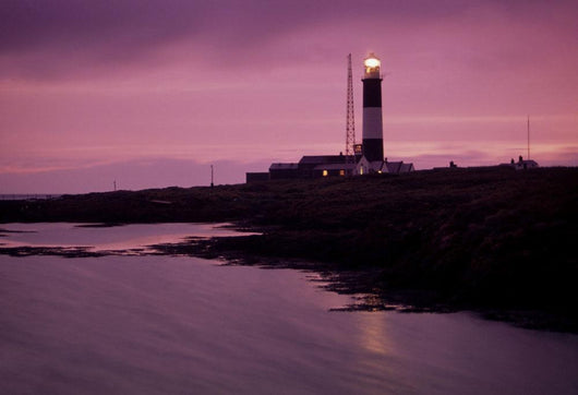 Mew Island, Belfast Lough, County Antrim, Ireland Wall Mural