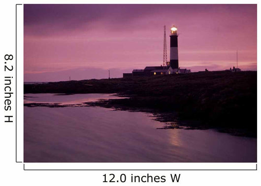 Mew Island, Belfast Lough, County Antrim, Ireland Wall Mural