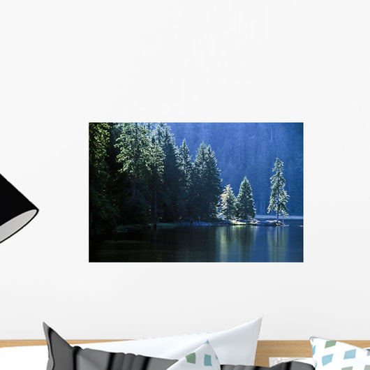 Mountain Lake In Arbersee, Germany Wall Mural
