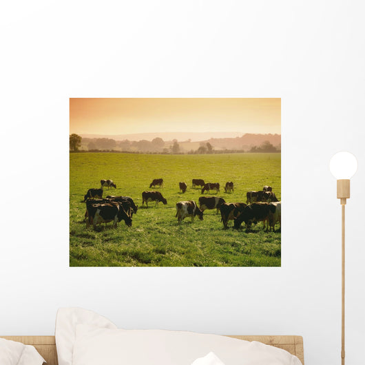 Friesian Cattle Wall Mural