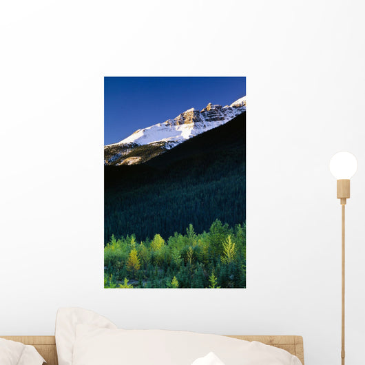 Banff National Park, Alberta, Canada Wall Mural