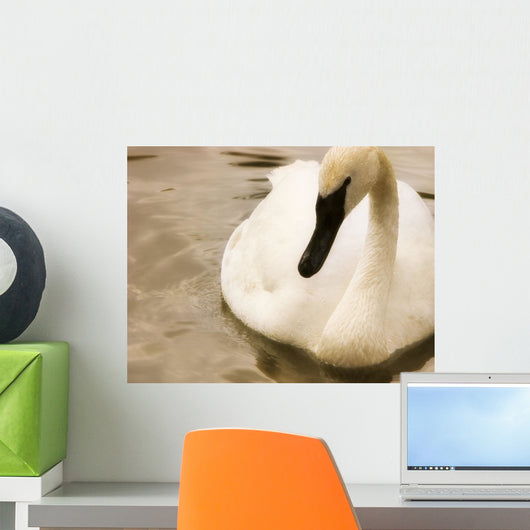 Swan Wall Mural