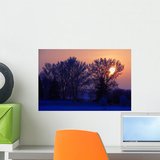 Sun Peeking Through Some Trees Wall Mural