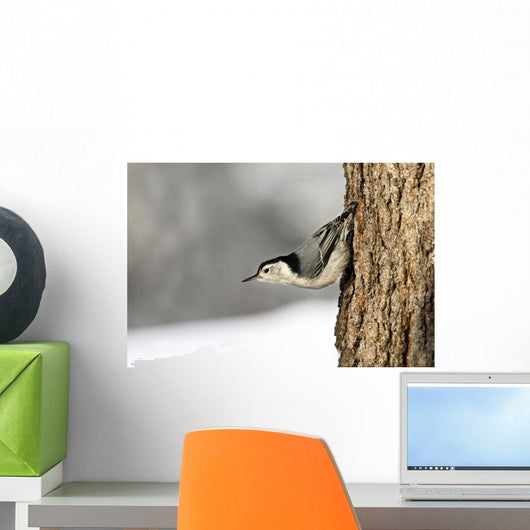 Bird On The Side Of A Tree Wall Mural
